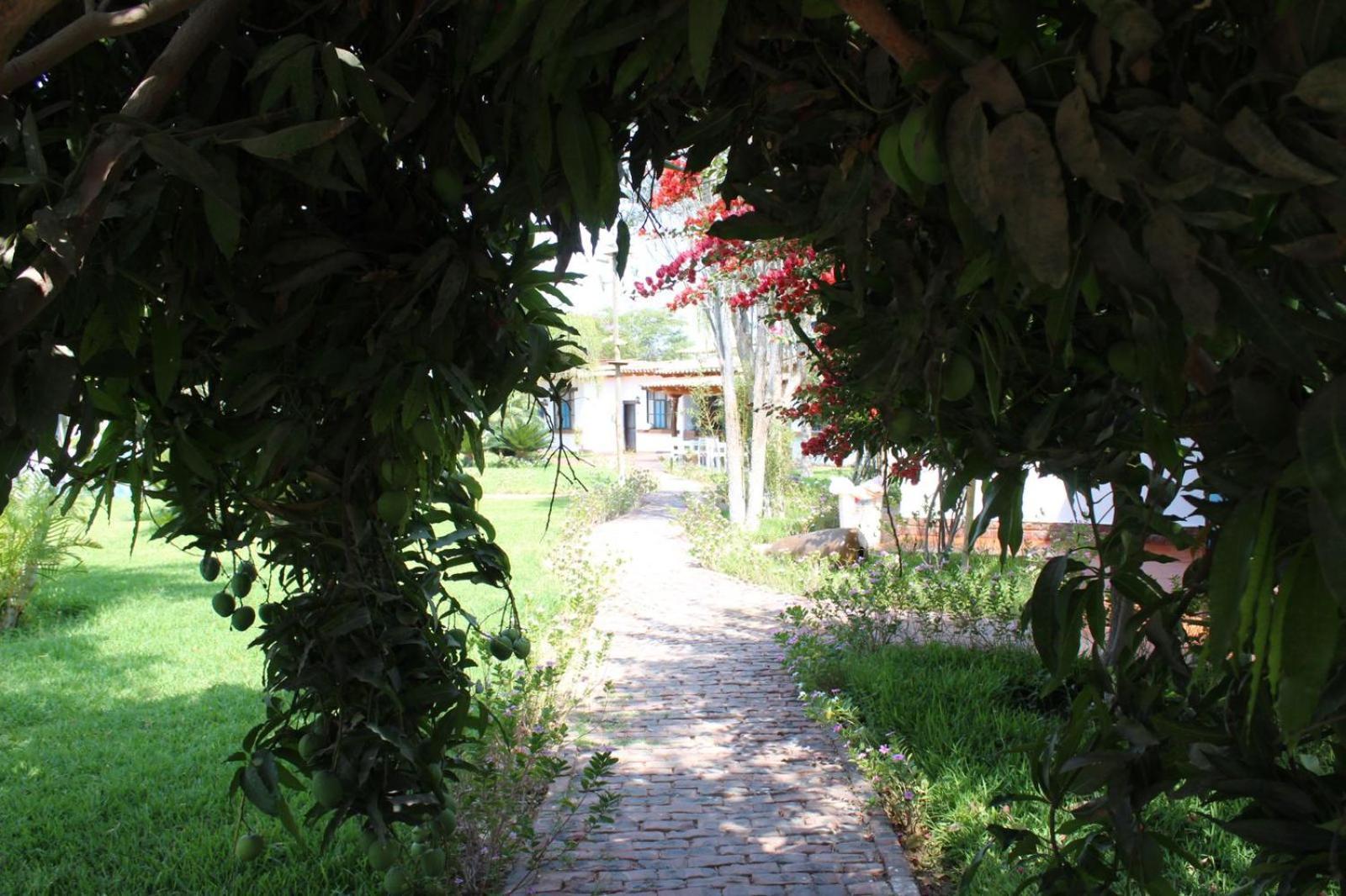 Casa Hacienda Nasca Oasis Hotel Nazca Exterior foto