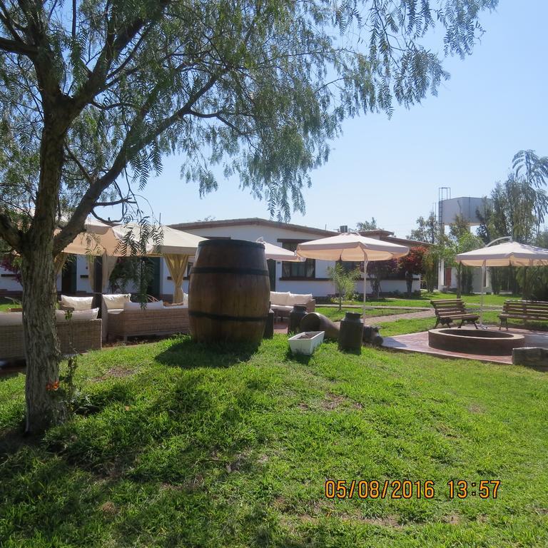 Casa Hacienda Nasca Oasis Hotel Nazca Exterior foto