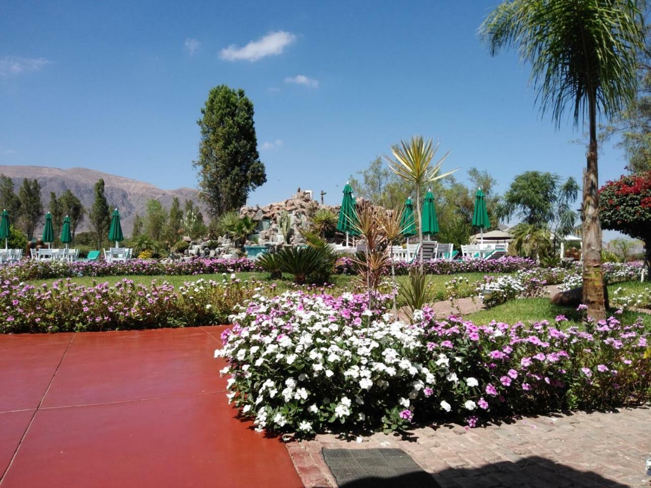 Casa Hacienda Nasca Oasis Hotel Nazca Exterior foto